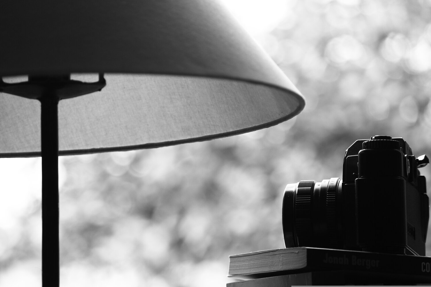Fotografia e leitura