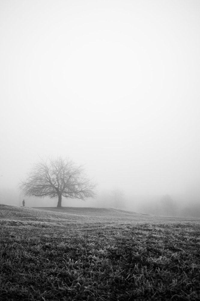 Без названия