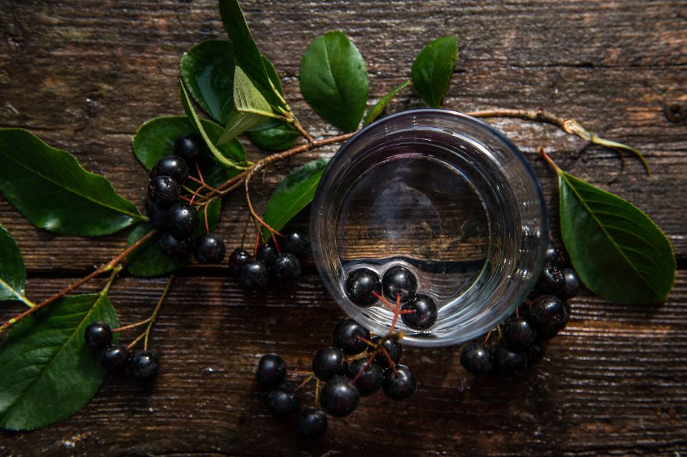 Черноплодка