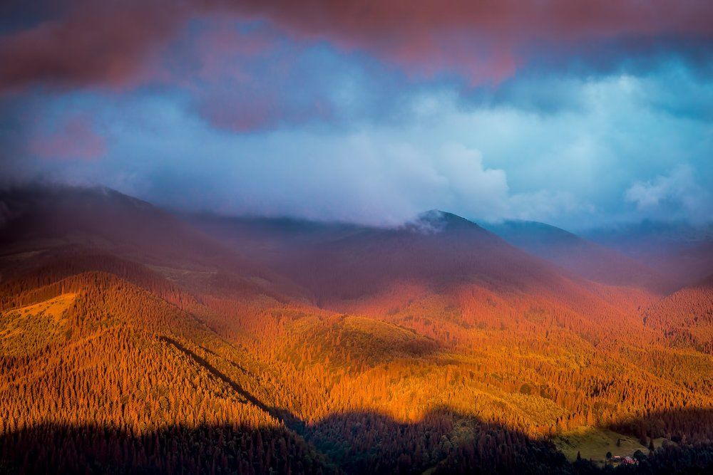 Обратная Стороны / Back Side