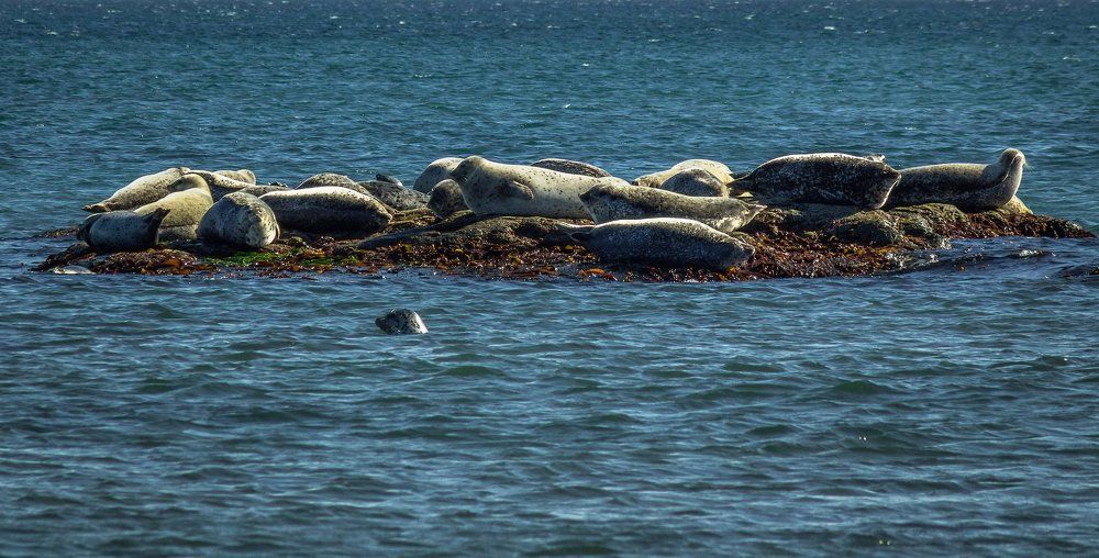Отдых на островах.