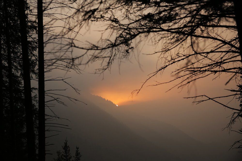 Умиротворение