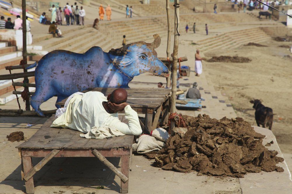 Голубая мечта