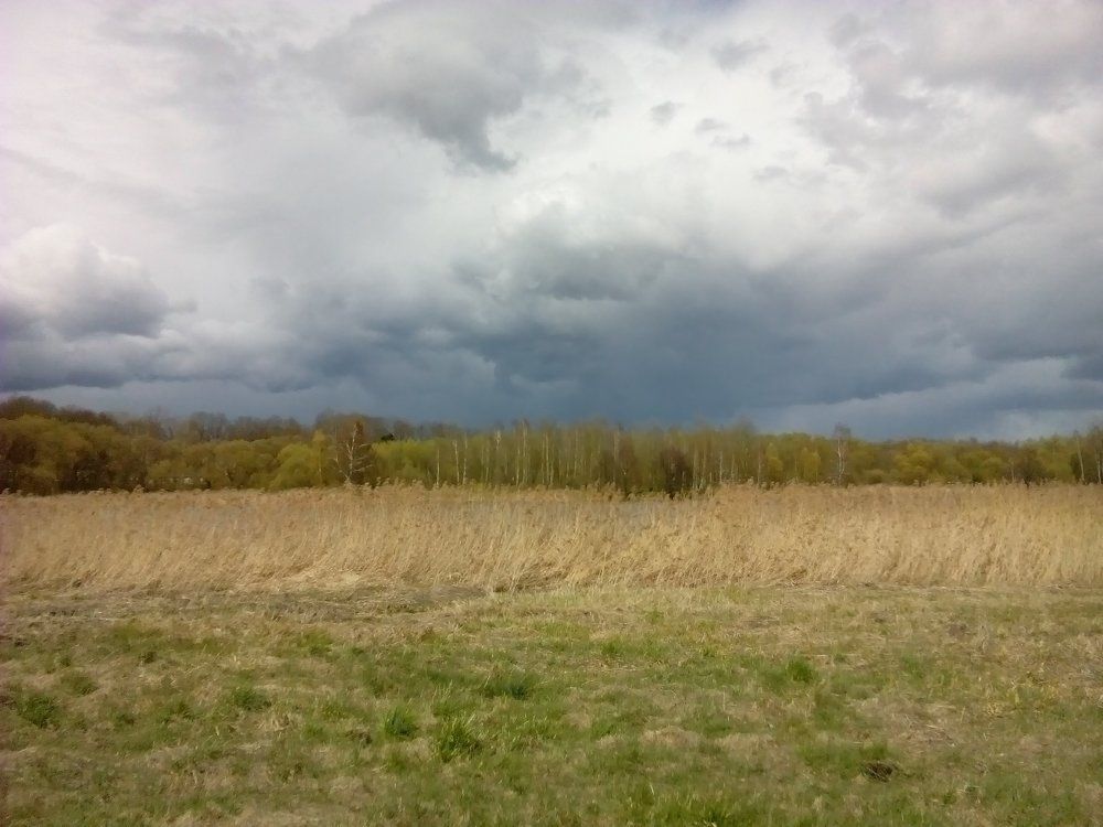 Photograph by Елизавета