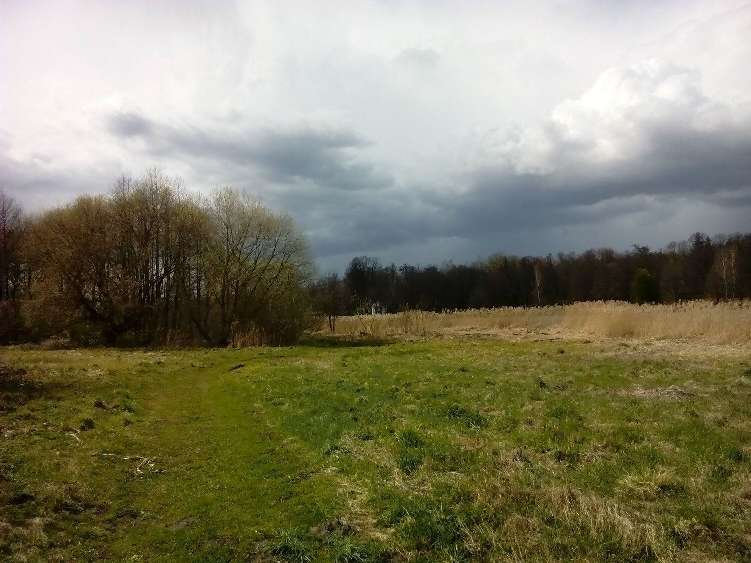 Photo #1963536