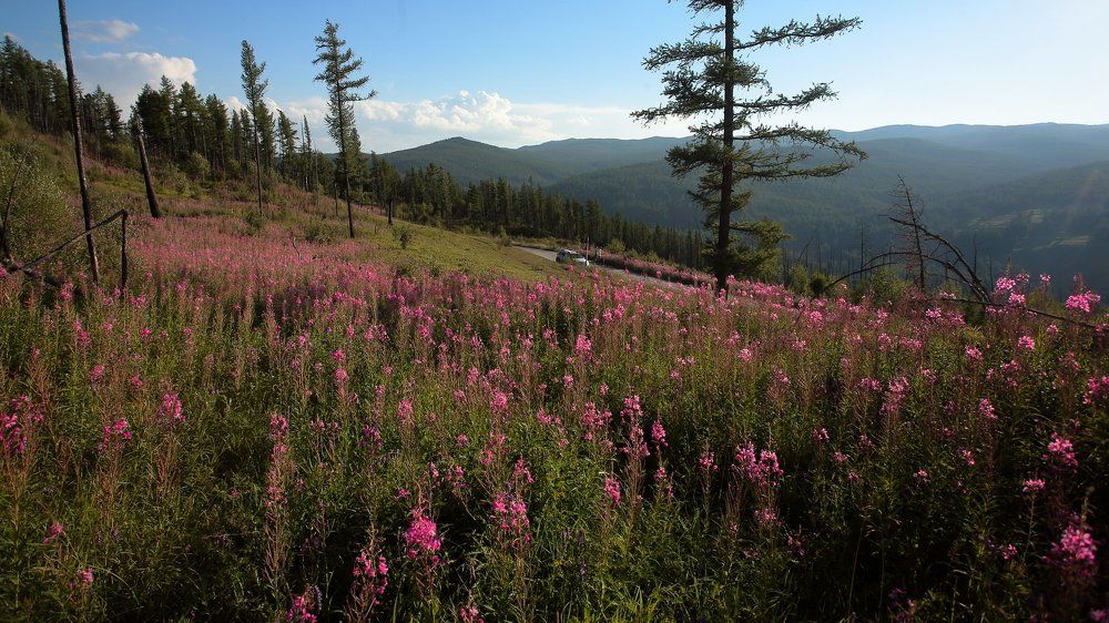 Photograph by Александр Полюдов