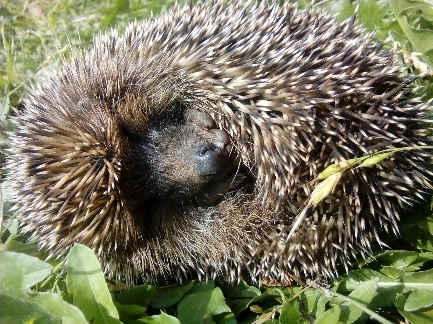 Photo #1963654