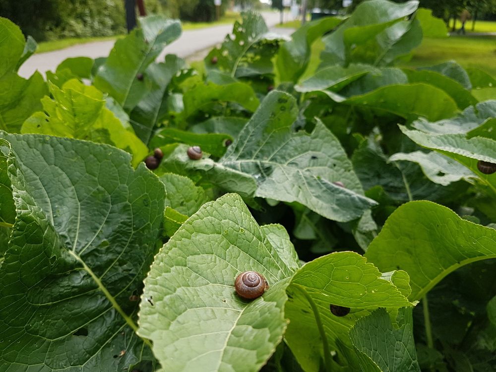 Круговорот