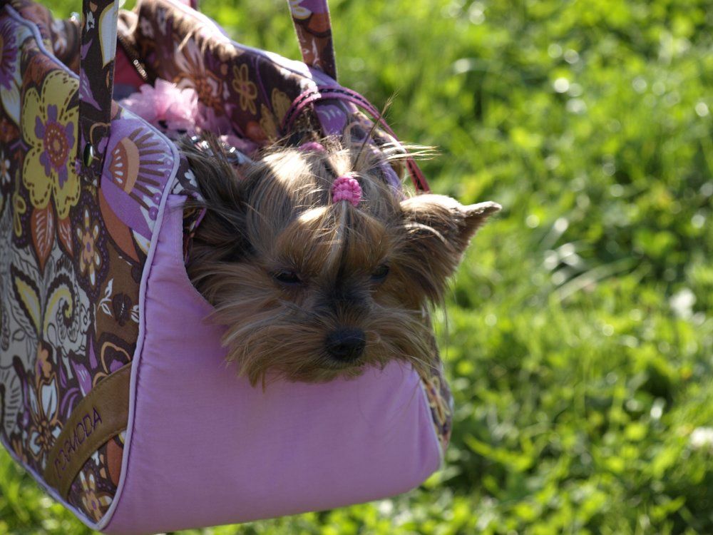 Замучили гламуром