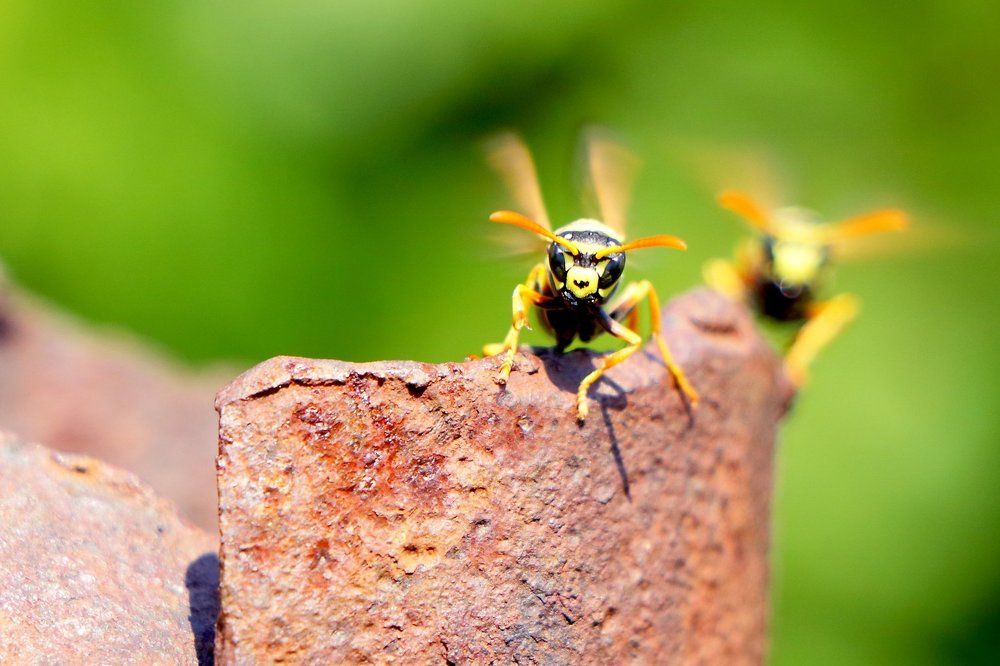 не подходи....