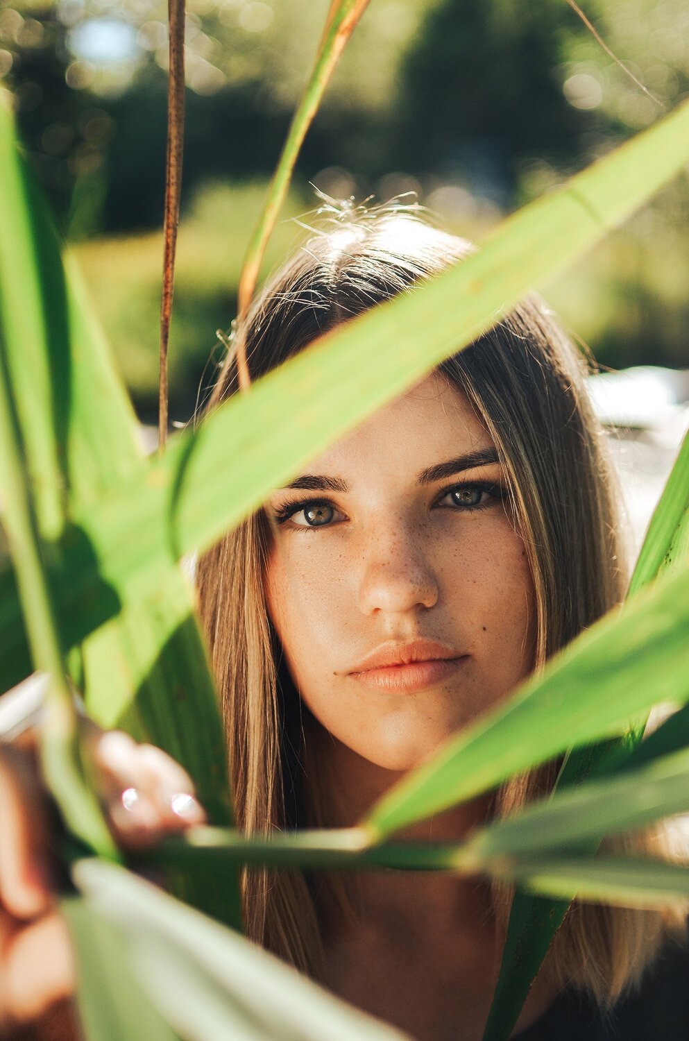 Photo #1963906
