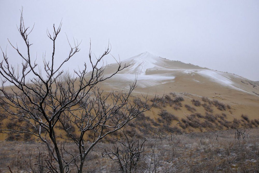 Японские мотивы