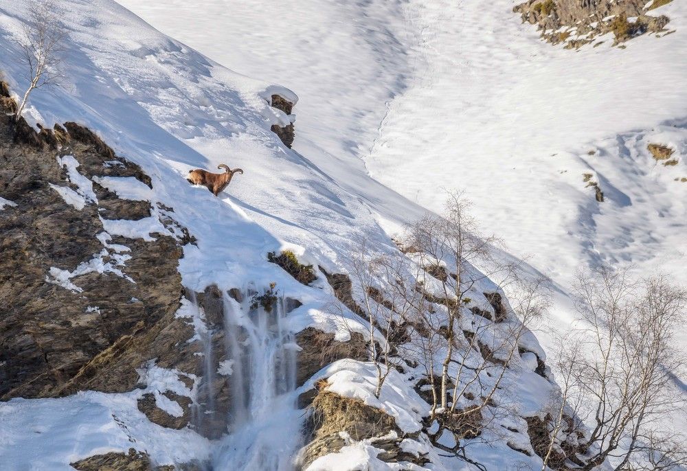 Риск - образ жизни