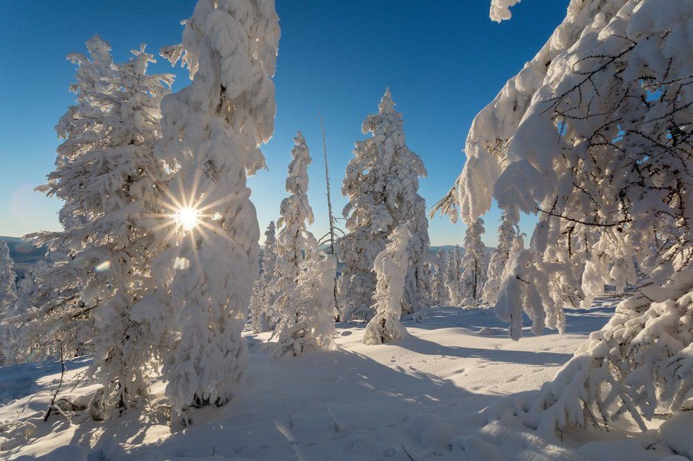 Зимняя сказка