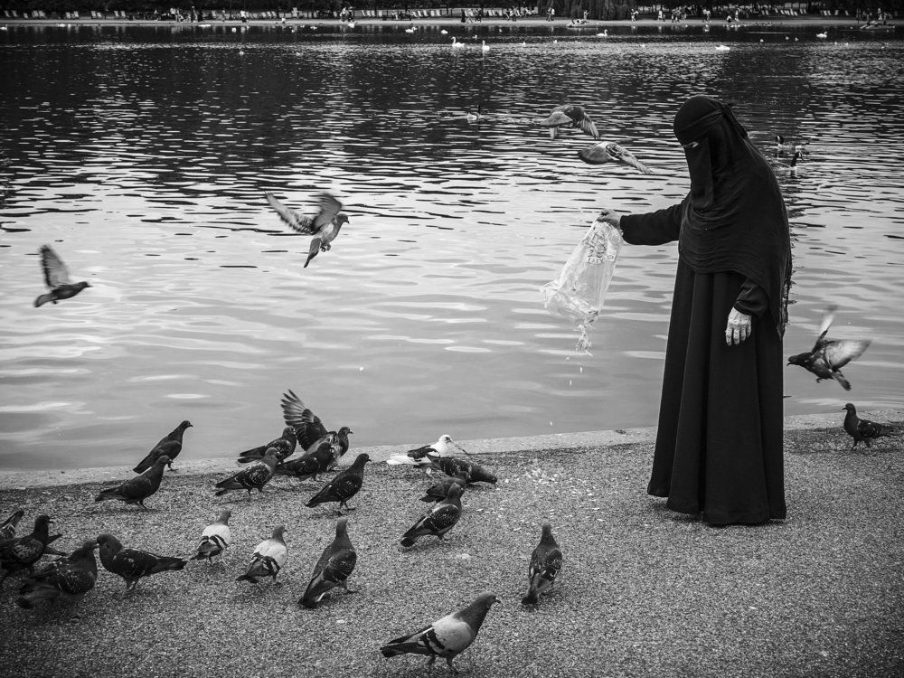 Feed pigeons in Hyde Park