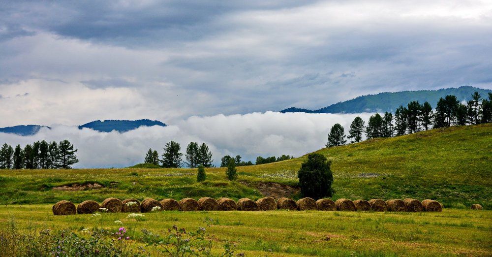 Осенний порядок