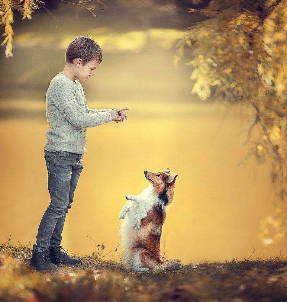 Рыжий друг...