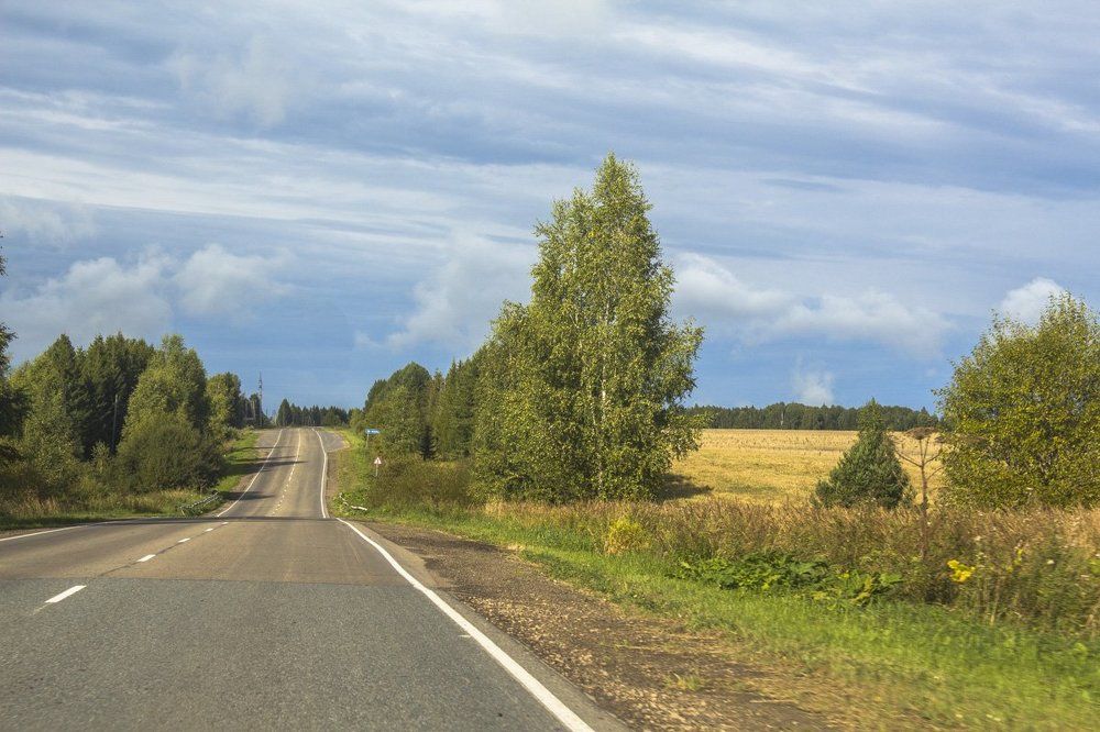 Дороги, дороги - поля, косогоры...