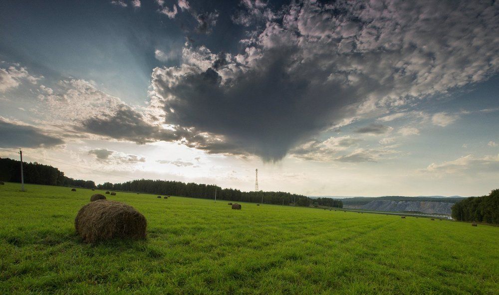 Рулончик на закате