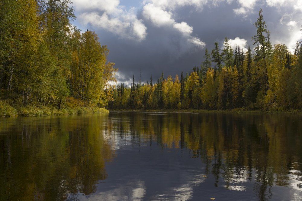 краски осени