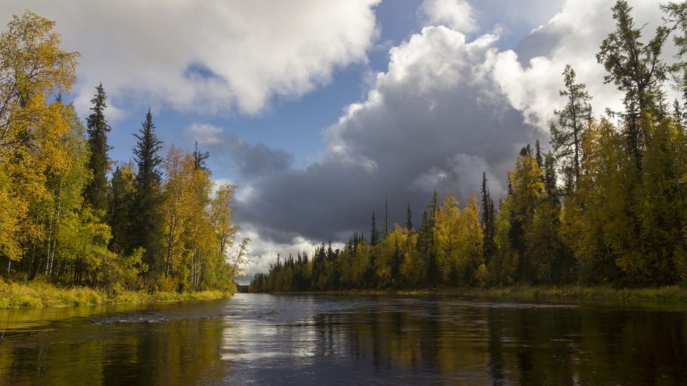 краски осени