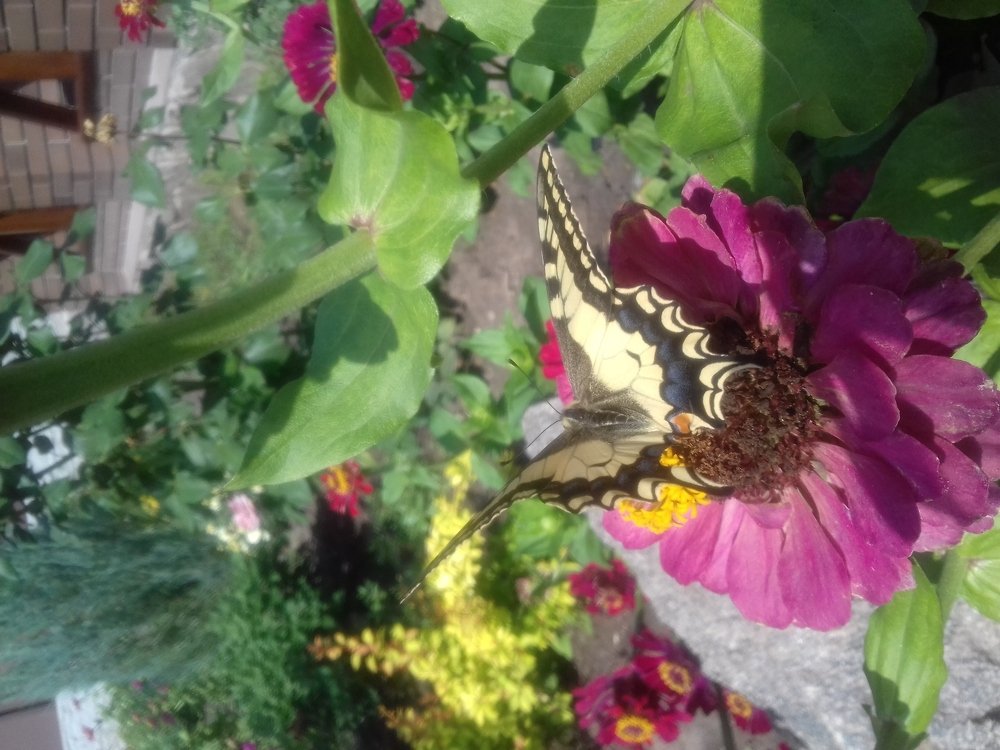 Мир природы