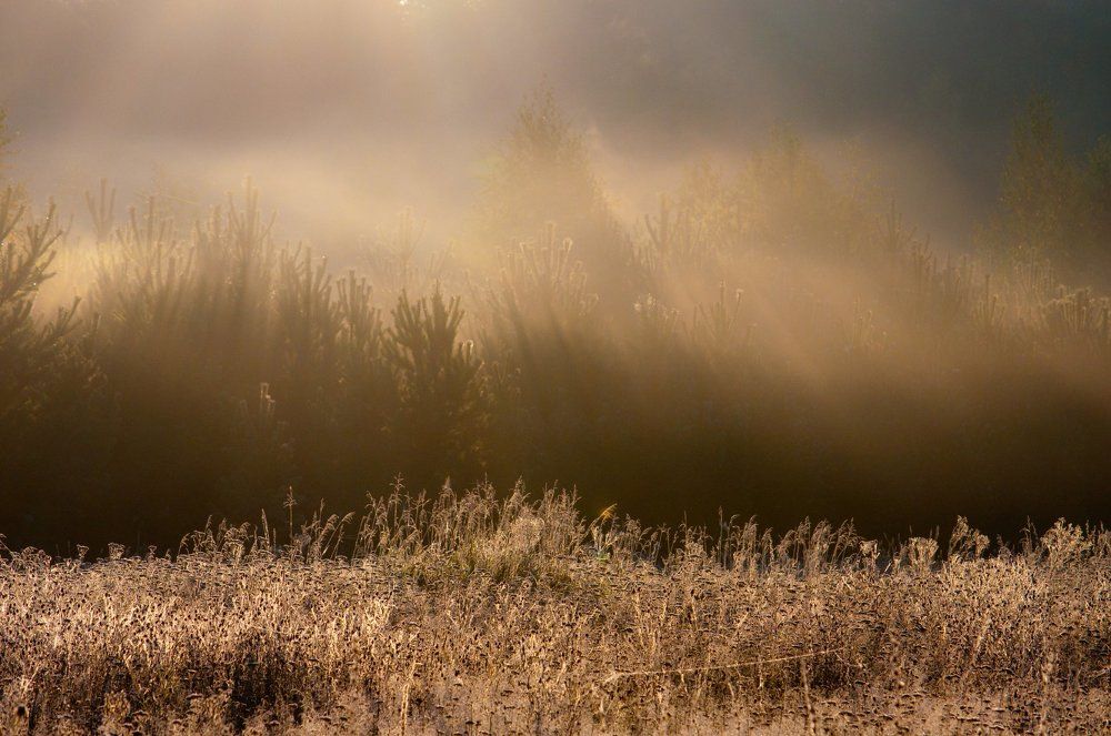 Photograph by Владимир Новиков