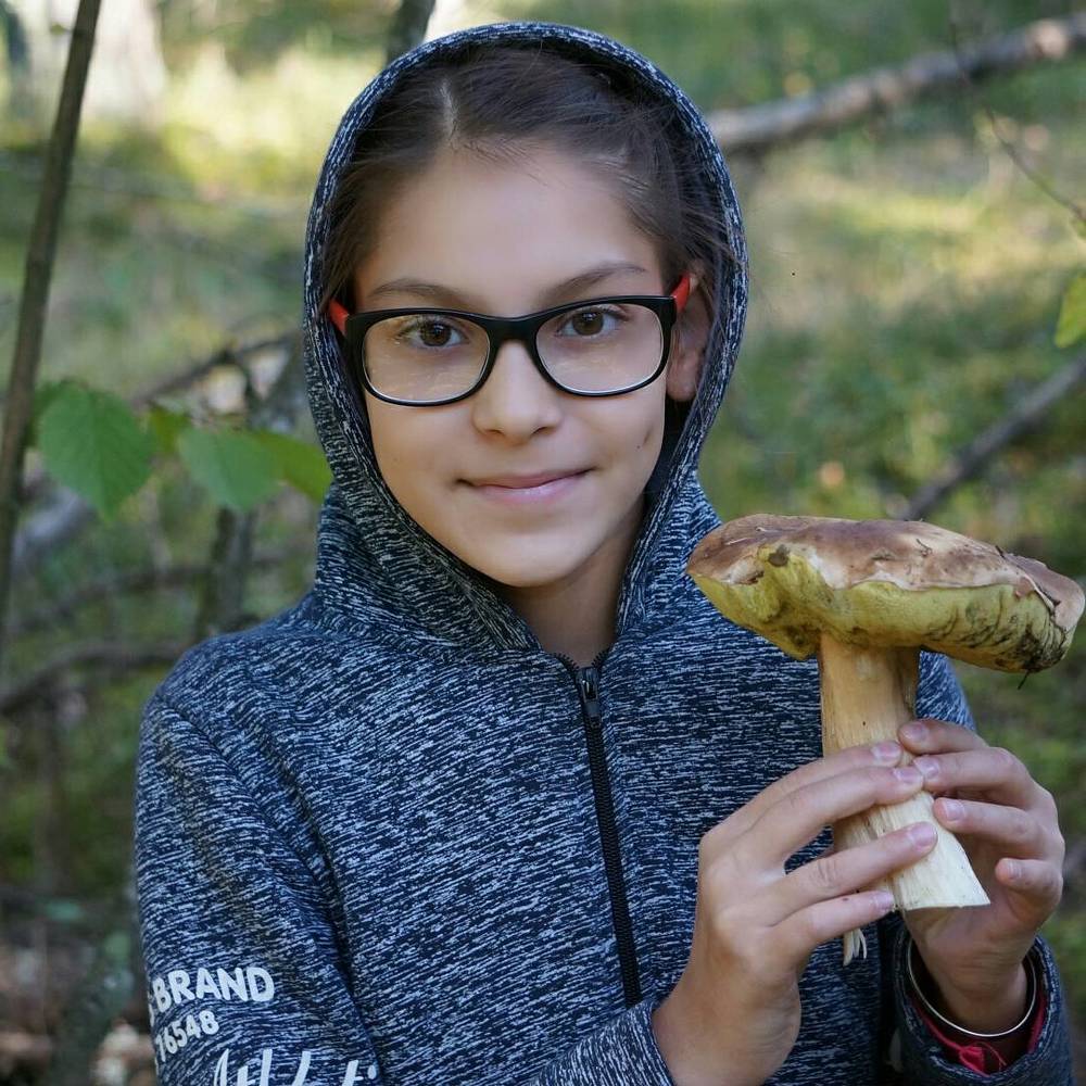 Прогулка в лесу