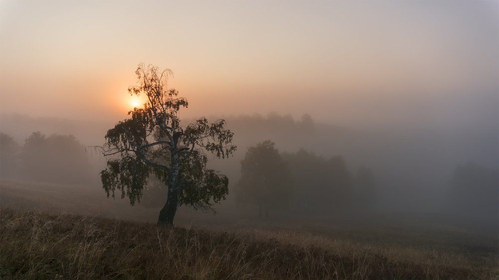Рассветное
