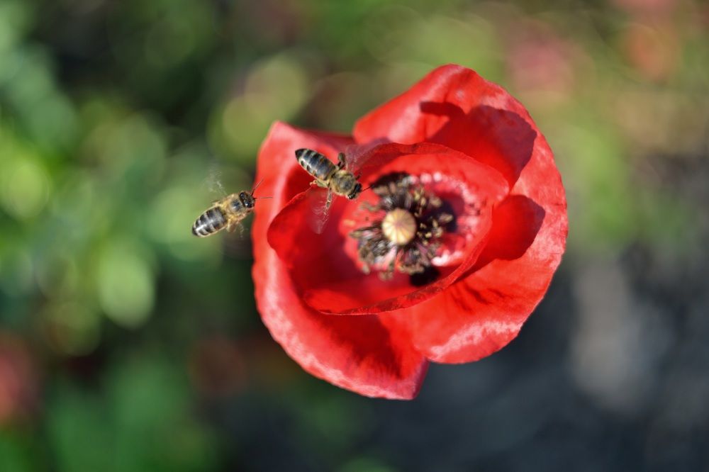 Заходим на посадку!