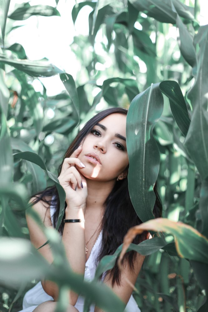 кукурузное поле