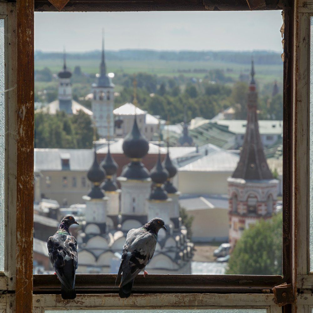 Суздаль. Окно колокольни.