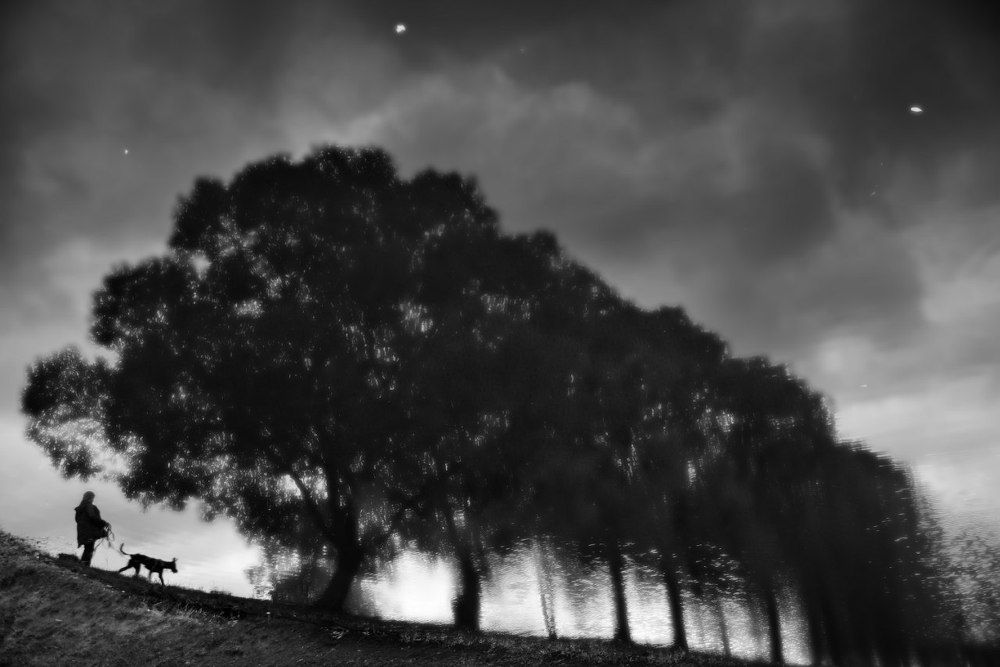 Photograph by Павел