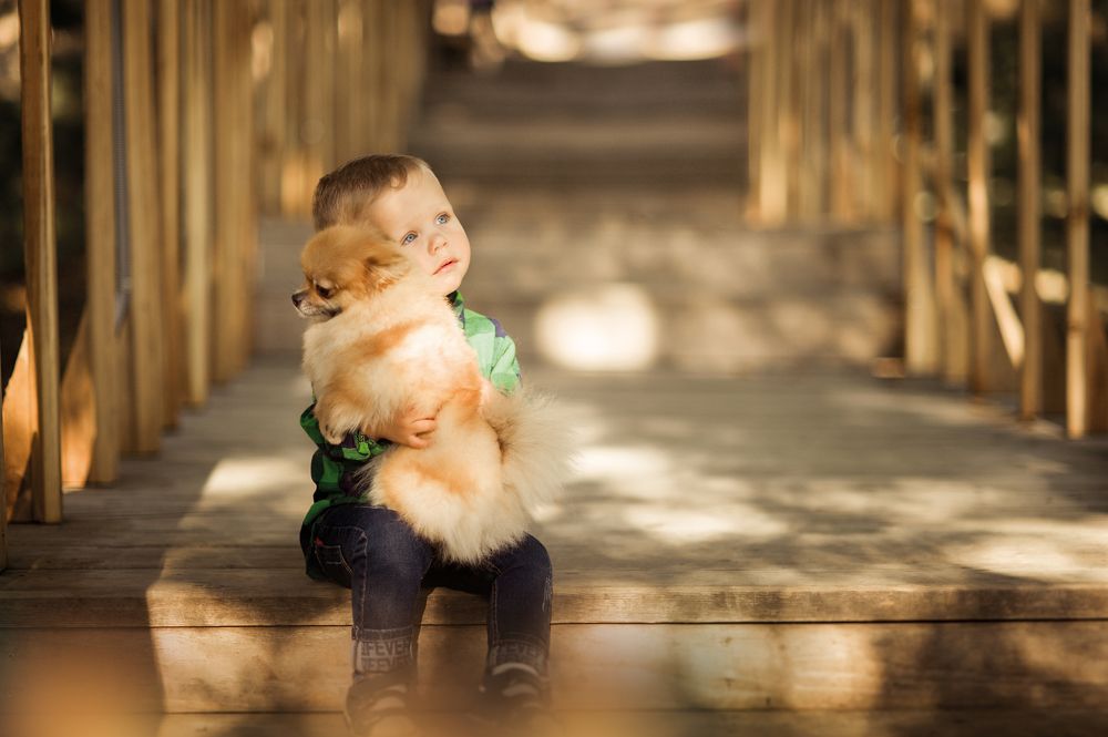 Друзей выбирают