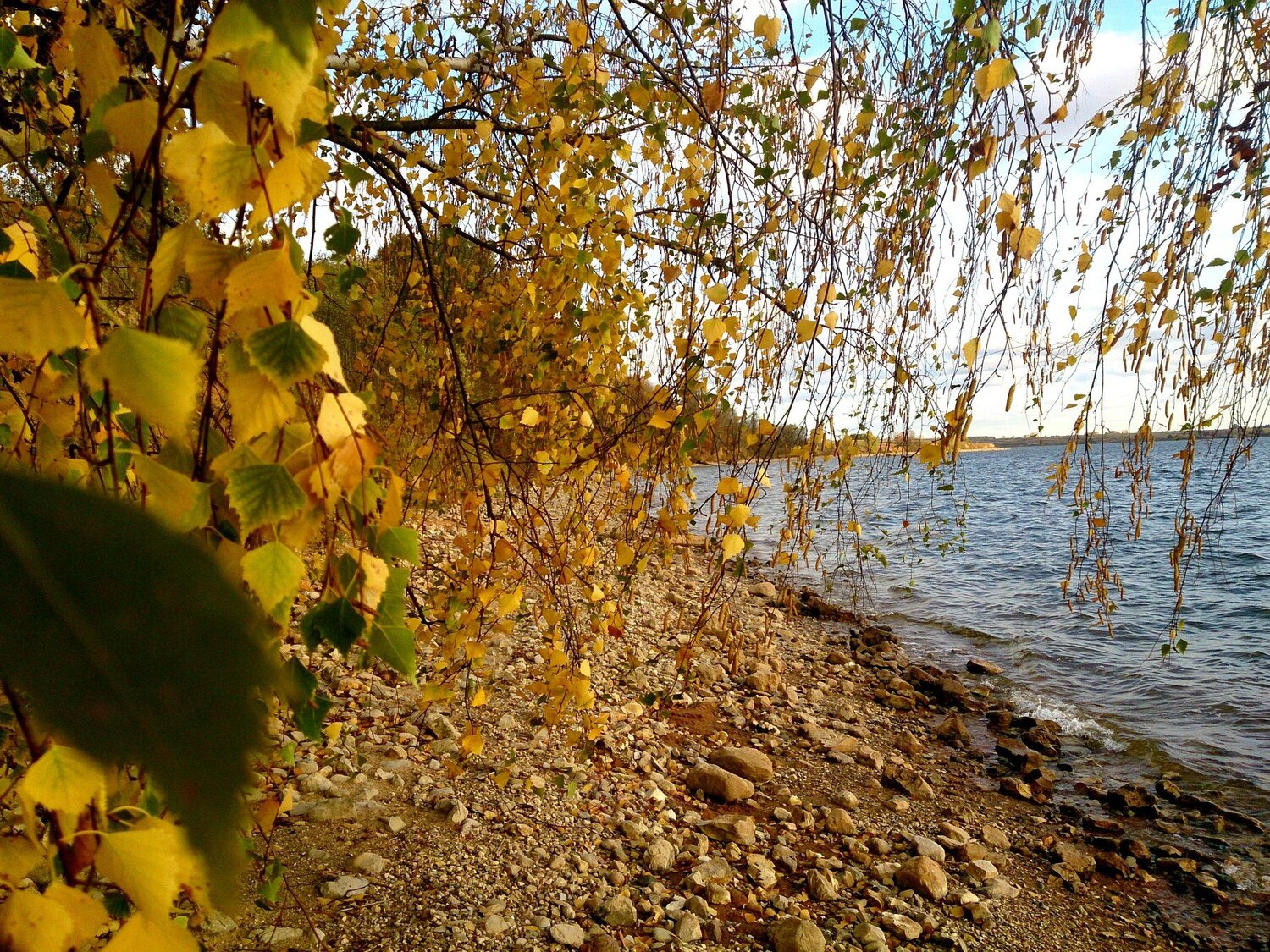 Золотая осень