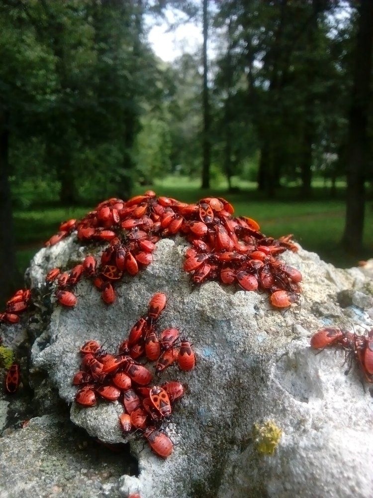 Photograph by Елизавета