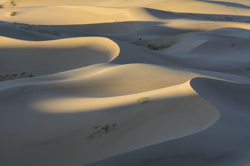 Бархат барханов