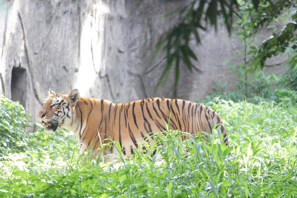 Photograph by Pravin Suthar