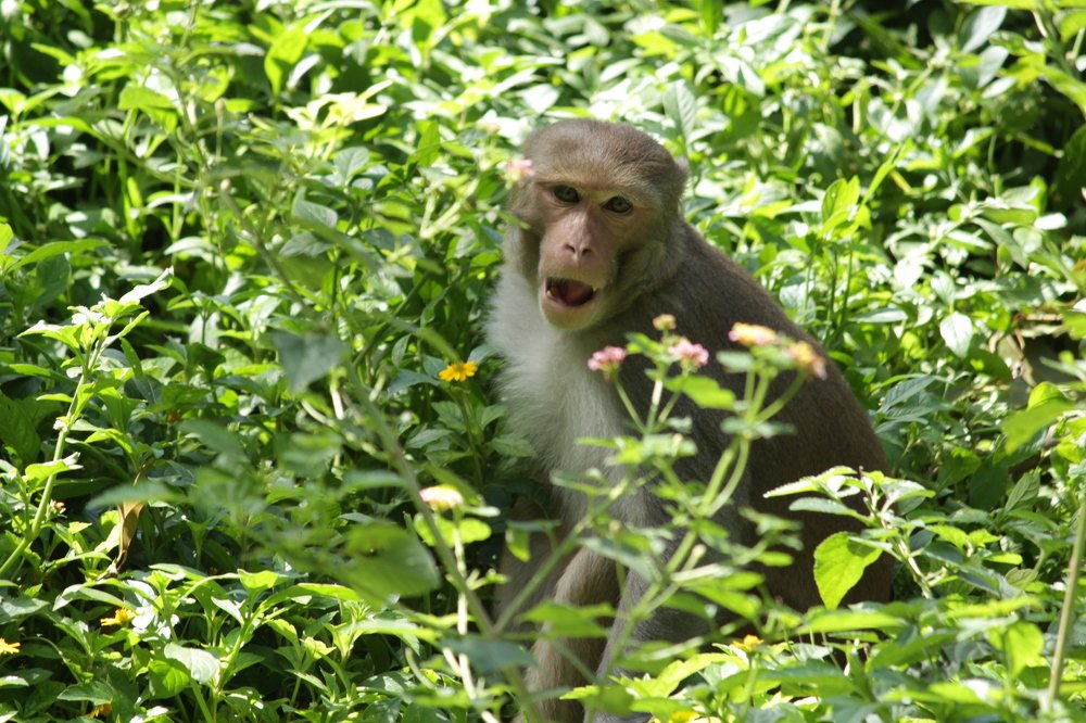 Photograph by Pravin Suthar