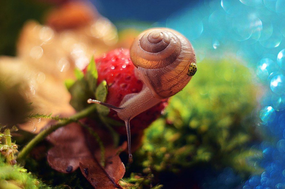 А ну ка, прокати!