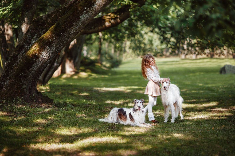 настоящая дружба