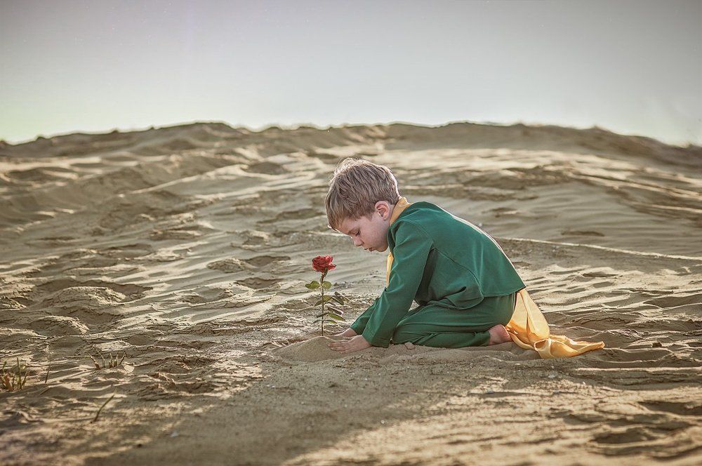 маленький принц