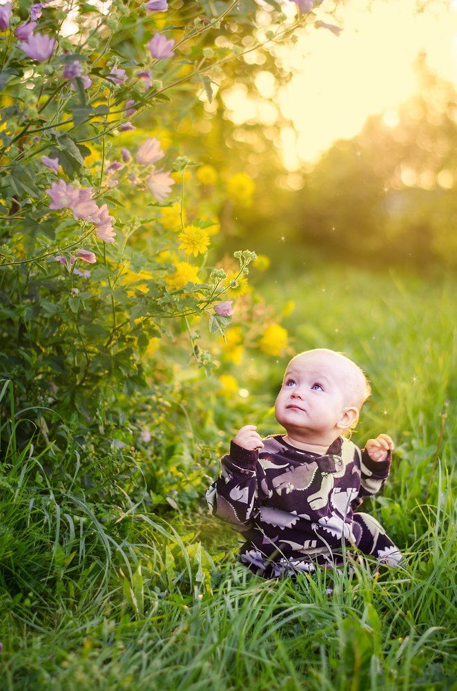 Искупаться в предзакатных лучах