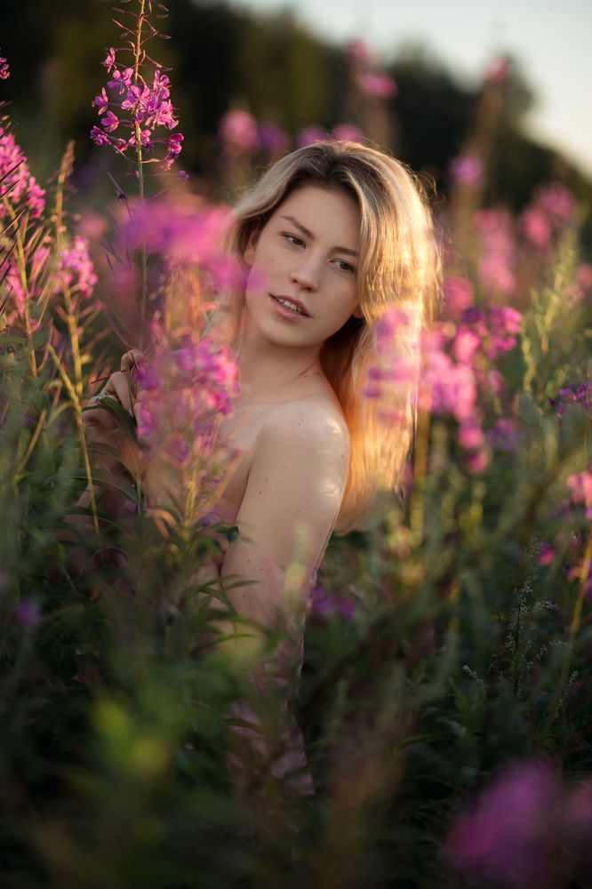 Красивый цветок