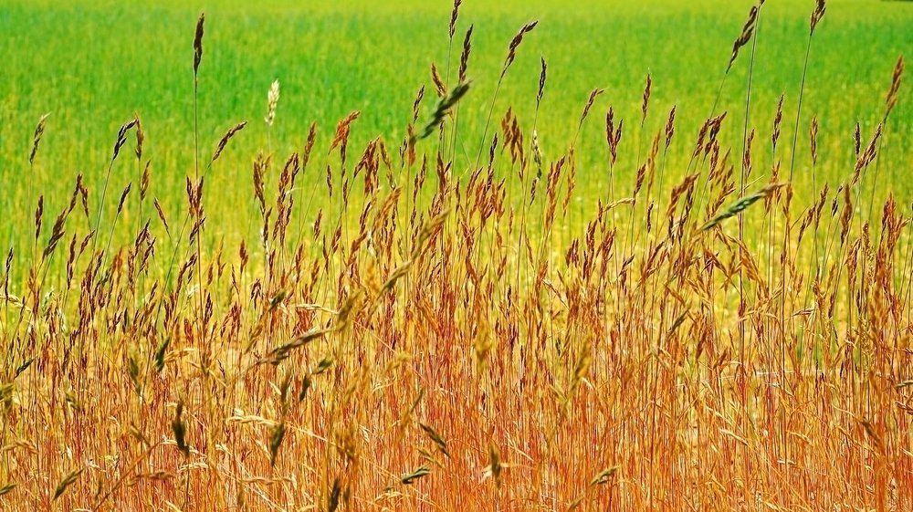 Фотография автора Valery Bel@kov