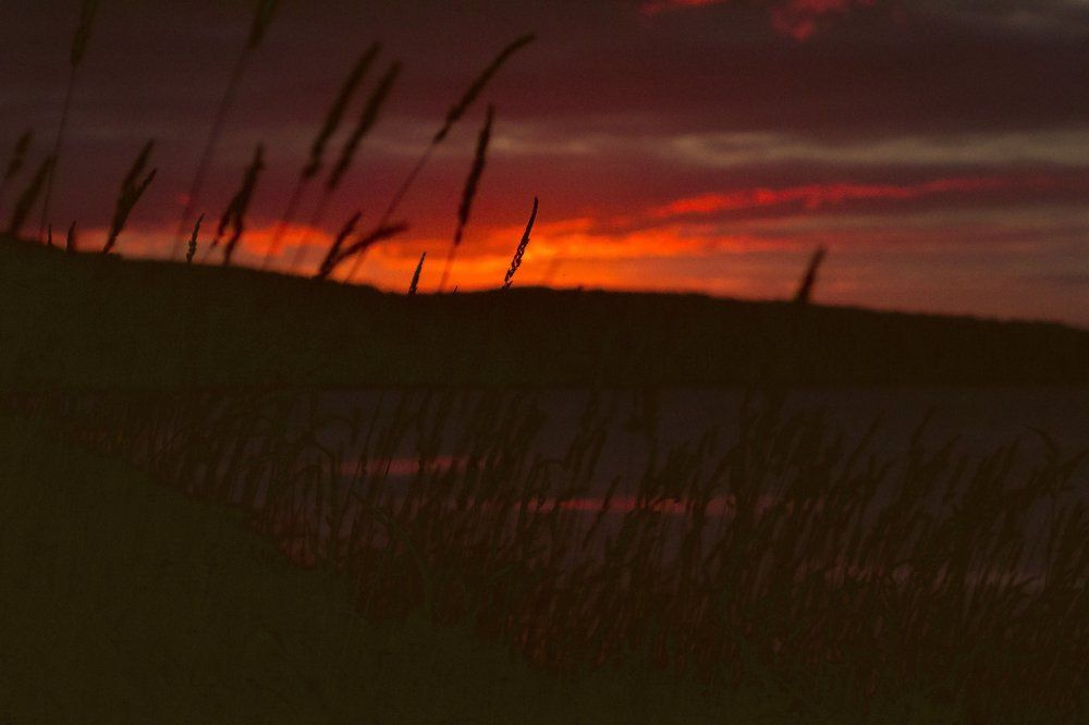 осенне марево