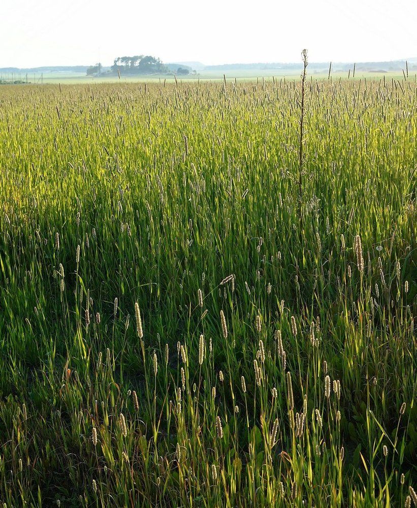 Фотография автора Valery Bel@kov