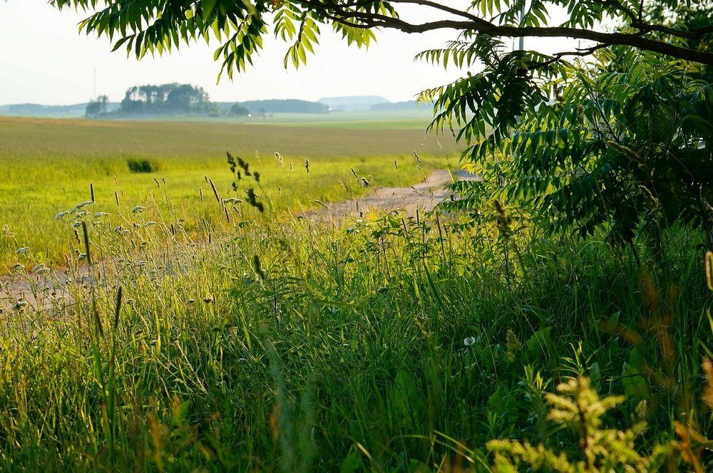 Фотография автора Valery Bel@kov