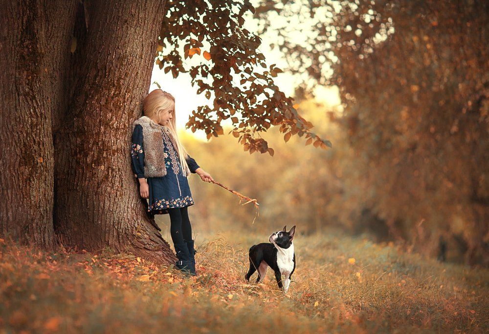 Золотая осень