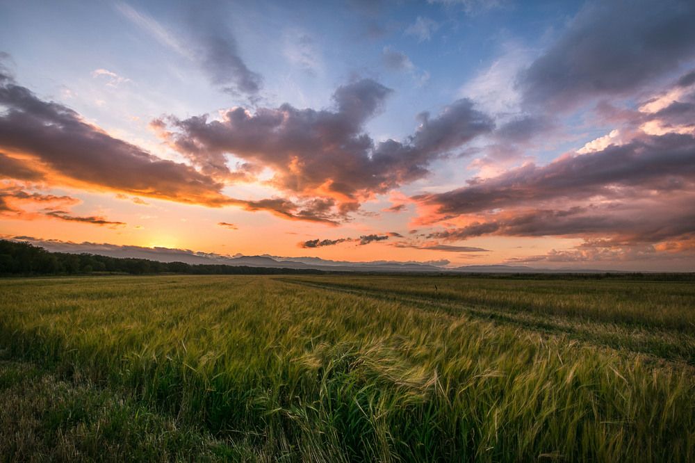 После заката.